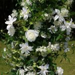 Willow£ºflower arch:2025 New Wedding Party Background Floral Arch Decoration - Image 7
