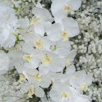 Maria:2025 New Wedding Party Background Floral Arch Decoration  -R891 - Image 2