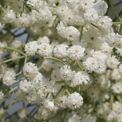 2025 New Wedding Party Background Floral Arch Decoration  -R957 - Image 2