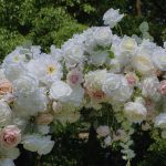 Noni£º2025 New Wedding Party Background Floral Arch Decoration include Framet - Image 6