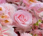 CiCi£º5D Fabric Artificial Flower Wall Rolling Up Curtain Flower Wall - Image 2
