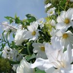 Willow£ºflower arch:2025 New Wedding Party Background Floral Arch Decoration - Image 2