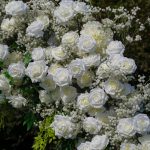 Layla£ºWedding Party Background Floral Arch Decoration - Image 6