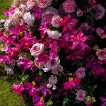 Dora£ºWedding Party Background Floral Arch Decoration - Image 5