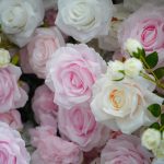 Leona£º5D Fabric Artificial rolling up curtain flower wall - Image 4