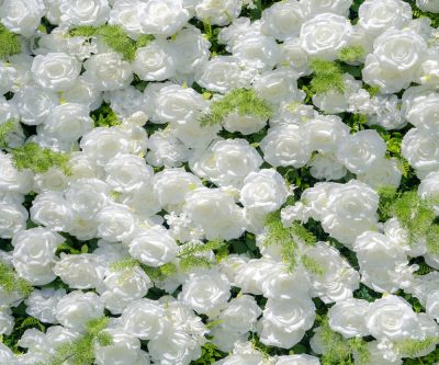 2025 New 5D Fabric Artificial rolling up curtain flower wall - Image 5