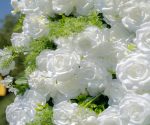 Forest£º5D Fabric Artificial rolling up curtain flower wall - Image 6