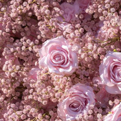 2025 New 3D Fabric Artificial rolling up curtain flower wall - Image 3