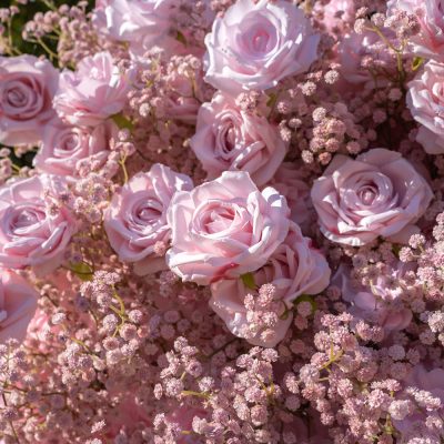 2025 New 3D Fabric Artificial rolling up curtain flower wall - Image 6