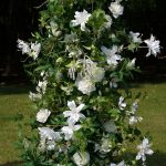 Willow£ºflower arch:2025 New Wedding Party Background Floral Arch Decoration - Image 5