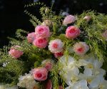 Mabry£ºRose Morning Floral Arch Decoration