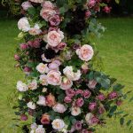 Darcy£º2025 New Wedding Party Background Floral Arch Decoration - Image 2