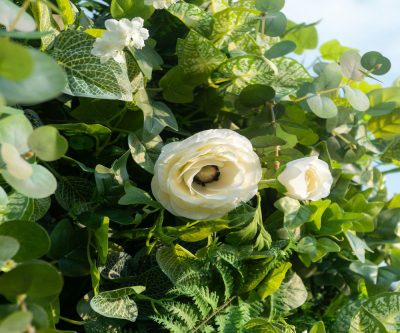 2025 New 5D Fabric Artificial rolling up curtain flower wall - Image 2