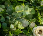 Mattia£º5D Fabric Artificial rolling up curtain flower wall - Image 4
