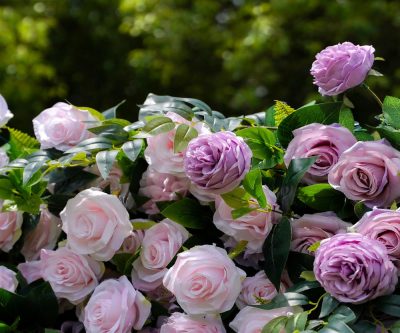 2025 New 5D Fabric Artificial rolling up curtain flower wall - Image 4