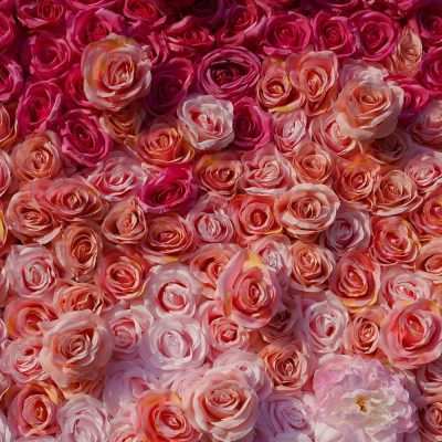 2025 New 5D Fabric Artificial rolling up curtain flower wall - Image 2