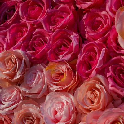 2025 New 5D Fabric Artificial rolling up curtain flower wall - Image 3