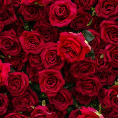 2025 New 5D Fabric Artificial rolling up curtain flower wall - Image 3