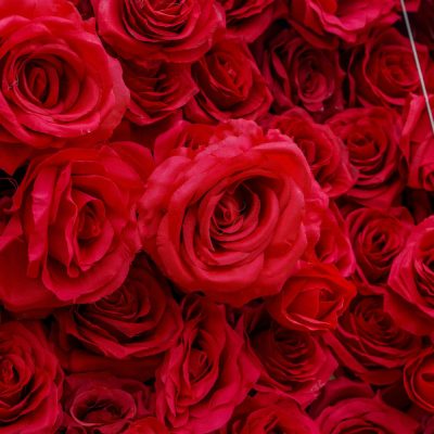 2025 New 4D Fabric Artificial rolling up curtain flower wall - Image 2