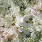 Adalyn£º5D Fabric Artificial rolling up curtain flower wall - Image 3