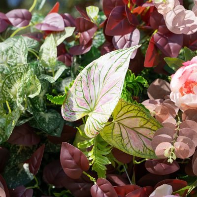 2025 New 4D Fabric Artificial rolling up curtain flower wall - Image 3