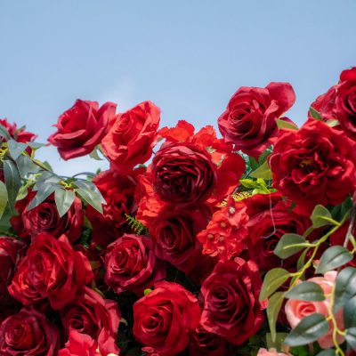 2025 New 3D Fabric Artificial rolling up curtain flower wall - Image 5