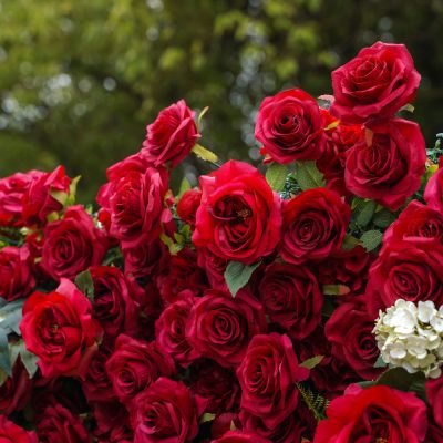 2025 New 5D Fabric Artificial rolling up curtain flower wall - Image 2