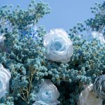 Blue Baby Breath£º3D Fabric Artificial rolling up curtain flower wall - Image 4