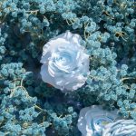 Blue Baby Breath£º3D Fabric Artificial rolling up curtain flower wall - Image 5