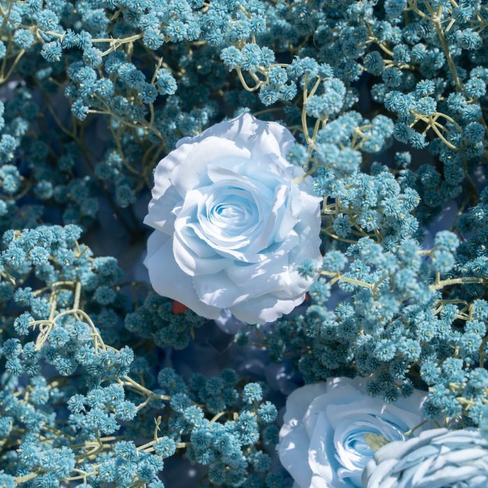Blue Baby Breath£º3D Fabric Artificial rolling up curtain flower wall - Image 5