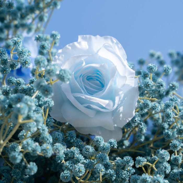Blue Baby Breath£º3D Fabric Artificial rolling up curtain flower wall - Image 2