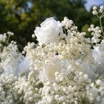 Baby Breath£º3D Fabric Artificial rolling up curtain flower wall - Image 4
