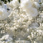 Baby Breath£º3D Fabric Artificial rolling up curtain flower wall - Image 6