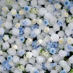 Beata£º5D Fabric Artificial rolling up curtain flower wall - Image 2