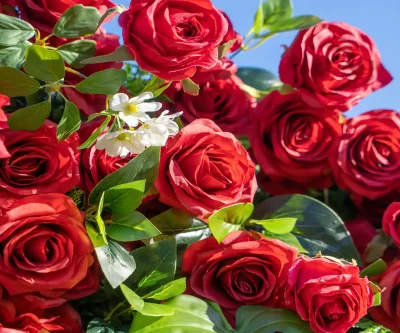 2025 New 5D Fabric Artificial rolling up curtain flower wall - Image 2