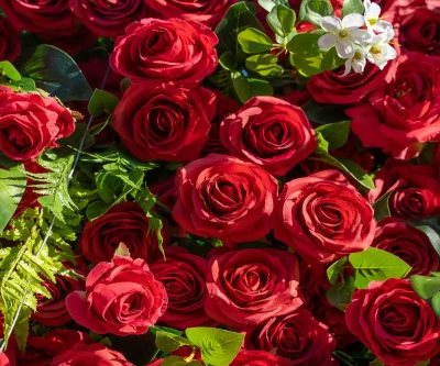 2025 New 5D Fabric Artificial rolling up curtain flower wall - Image 3