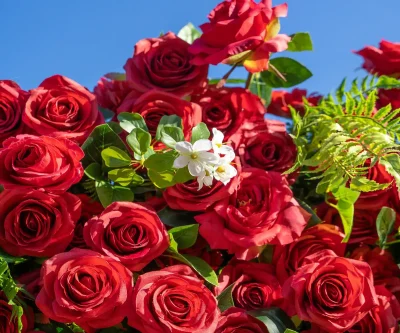 2025 New 5D Fabric Artificial rolling up curtain flower wall - Image 4