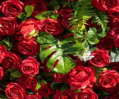 2025 New 5D Fabric Artificial rolling up curtain flower wall - Image 5