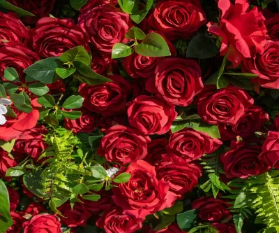 2025 New 5D Fabric Artificial rolling up curtain flower wall - Image 6