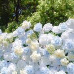 BlueSky£º4D Fabric Artificial zip up curtain flower wall - Image 2