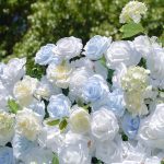 BlueSky£º4D Fabric Artificial zip up curtain flower wall - Image 5