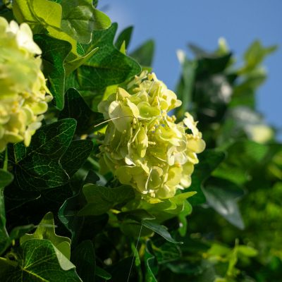 2025 New 5D Fabric Artificial rolling up curtain flower wall - Image 5