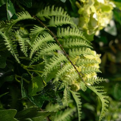 2025 New 5D Fabric Artificial rolling up curtain flower wall - Image 6