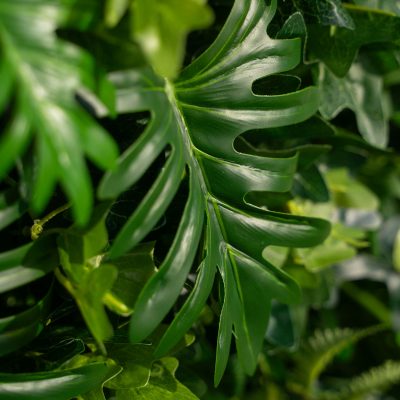 2025 New 5D Fabric Artificial rolling up curtain flower wall - Image 2