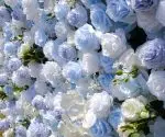 Carlos£º5D Fabric Artificial rolling up curtain flower wall - Image 6