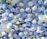 Carlos£º5D Fabric Artificial rolling up curtain flower wall - Image 5