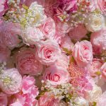 Charlotte£º7D Fabric Artificial rolling up curtain flower wall - Image 3