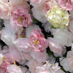 Chelsea£º4D Fabric Artificial rolling up curtain flower wall - Image 3