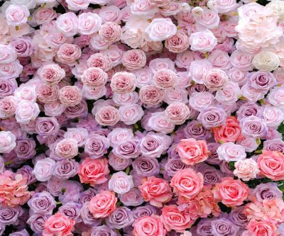 2025 New 5D Fabric Artificial rolling up curtain flower wall - Image 2