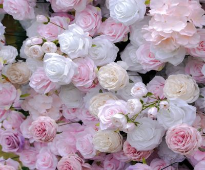 2025 New 5D Fabric Artificial rolling up curtain flower wall - Image 4